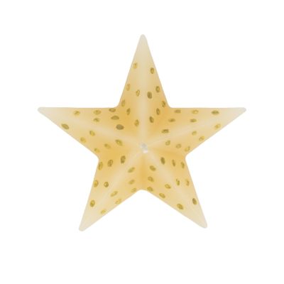 Kerze "Weihnachtsstern"