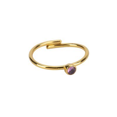 Goldfarbener Ring aus Messing mit lila Glasstein
