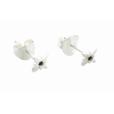 Ohrstecker "Stern"