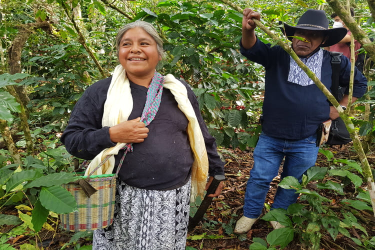 El Puente Fair Trade Bio Kaffee des Monats Sonrisa
