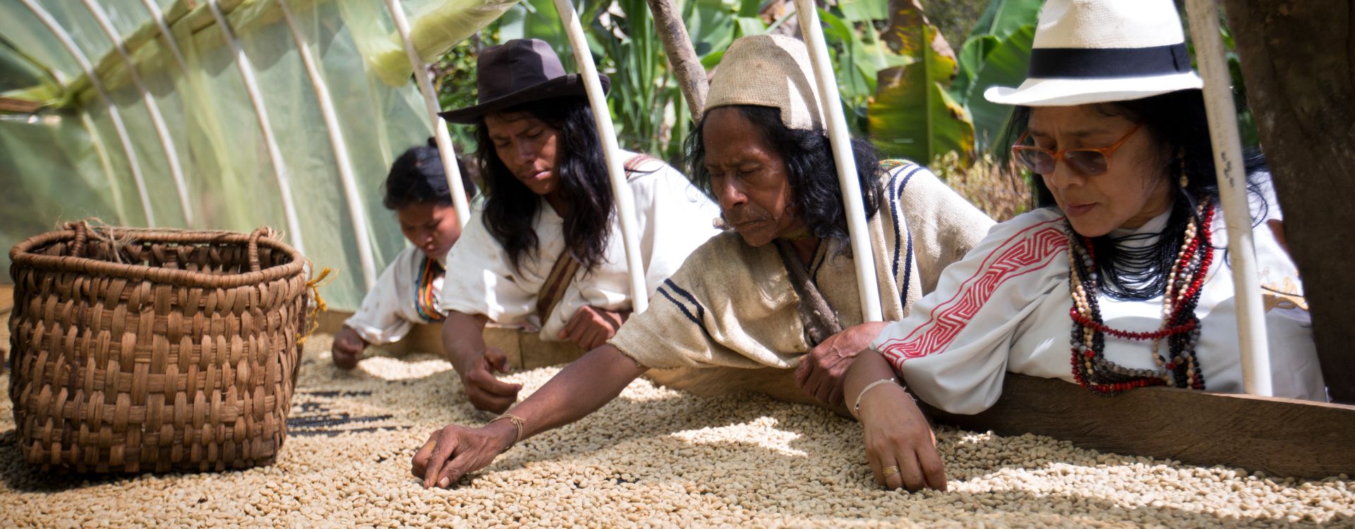 El_Puente_Fair_Trade_Kaffee_Abo_Foto_von_Ecolsierra_aus_Kolumbien.jpg