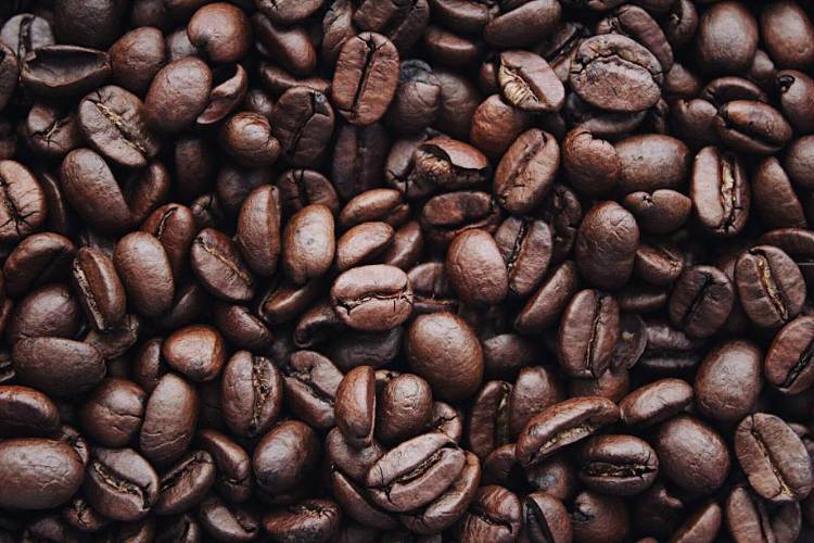 El Puente Fair Trade Kaffee dunkle Röstung