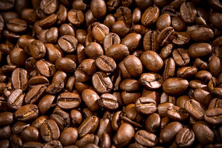 El Puente Fair Trade Kaffeebohnen mittlere Röstung