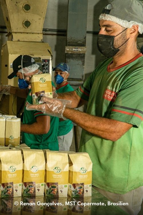 El Puente Mate Tee Produktion in Brasilien