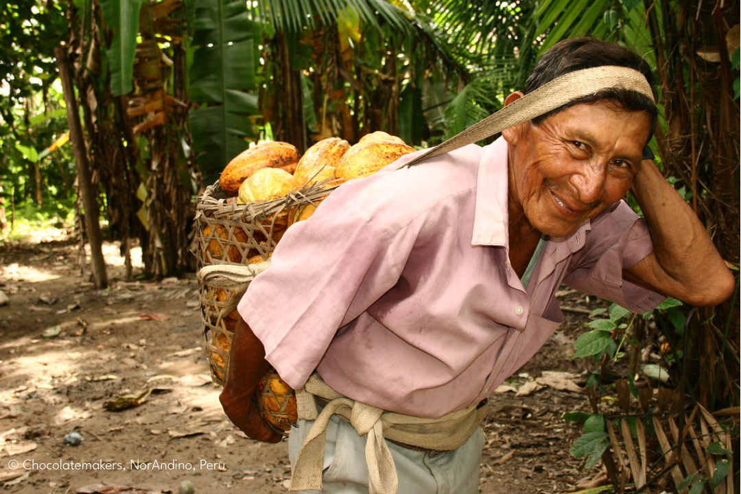 Kakaobauer_Norandino_Peru__chocolatemakers_1080x720.png