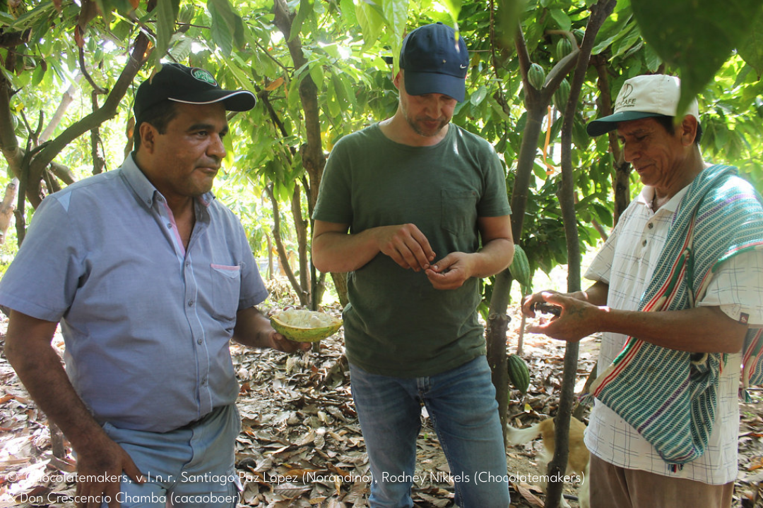 v.l.n.r._Santiago_Paz_Lopez_Norandino_Rodney_Nikkels_Chocolatemakers_Don_Crescencio_Chamba_cacaoboer___Chocolatemakers_1080x720.png